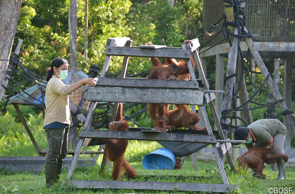 Die Arbeit geht (verän­dert) weiter