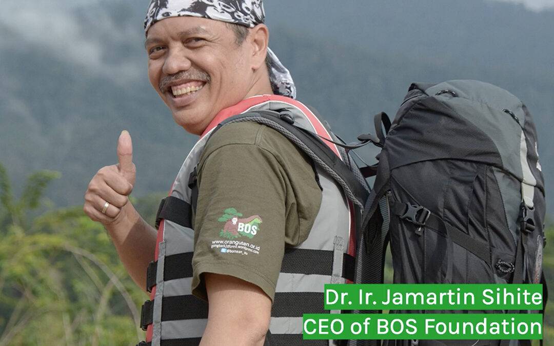 Eine Botschaft aus Borneo