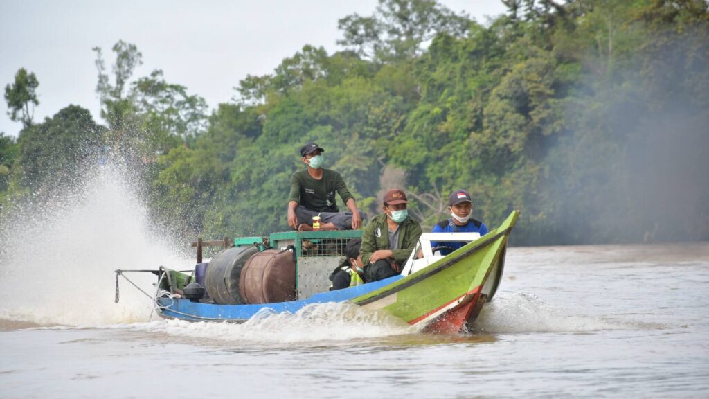 Orang-Utans werden mit Booten zum Auswilderungsort transportiert