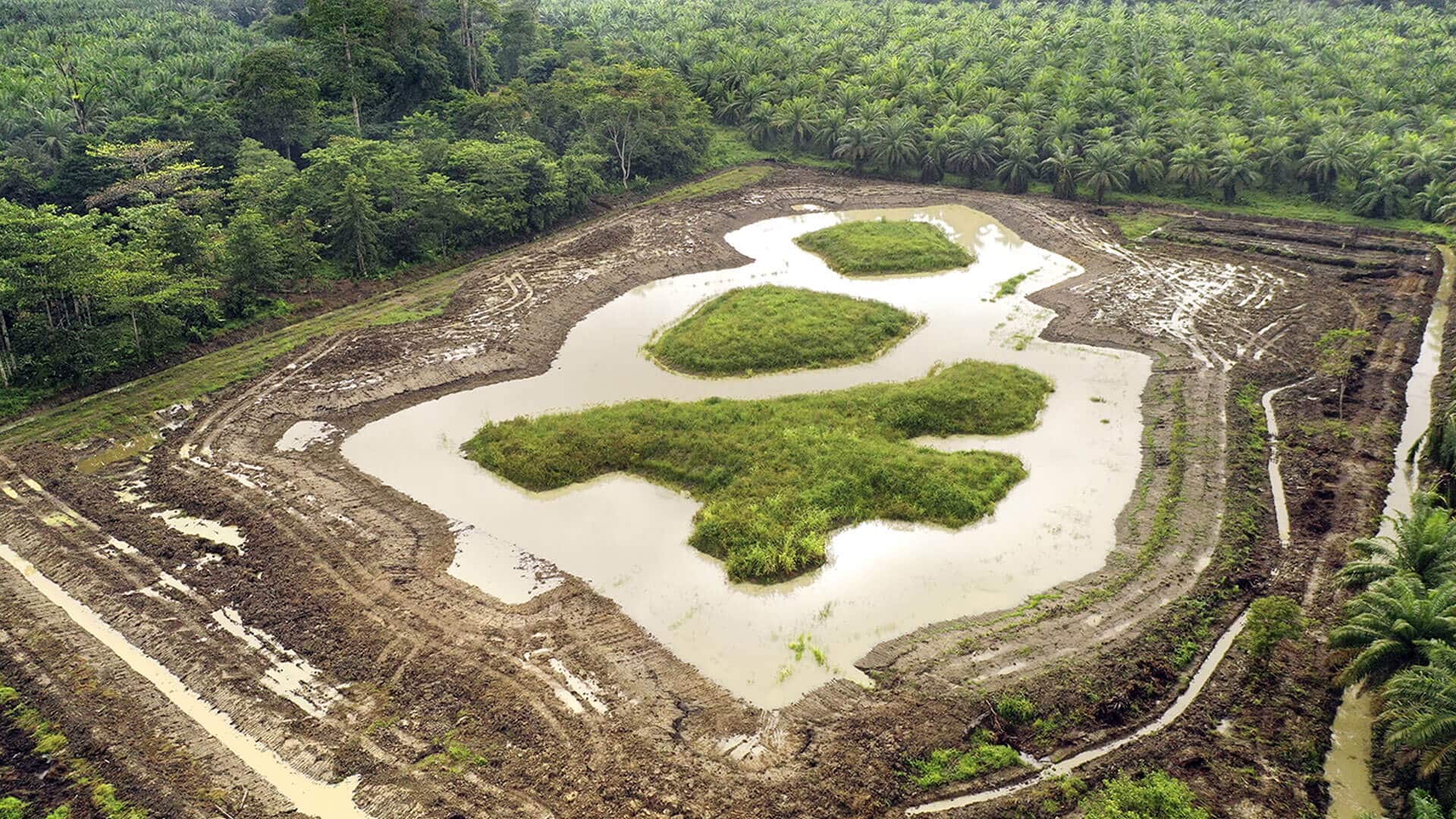Wildtieroasen werden in Form von künstlichen Gewässern angelegt