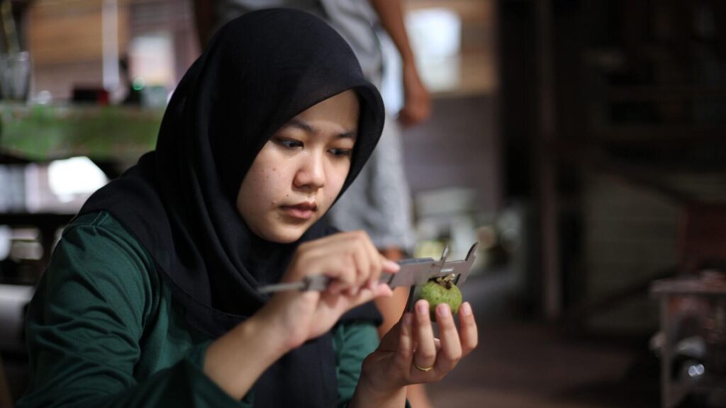 Eine Studentin der UNAS beim Orang-Utan-Ernährungsprojekt