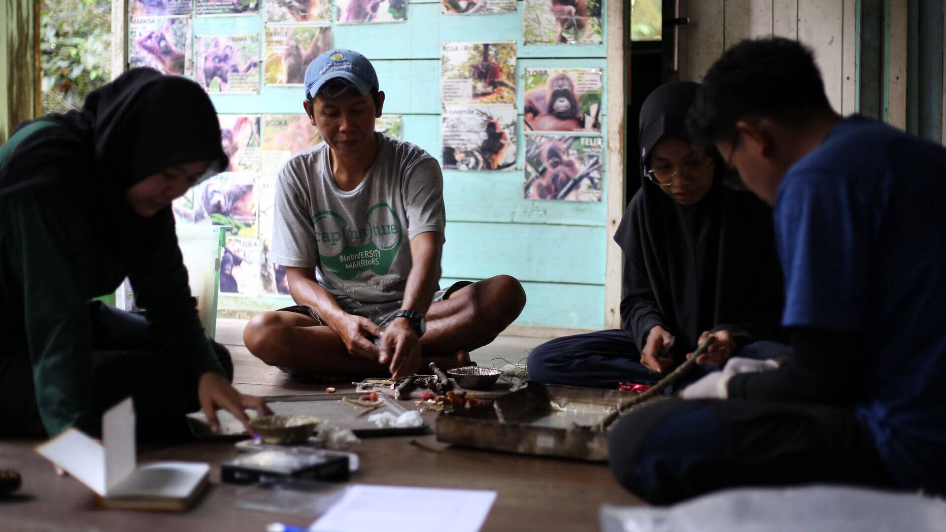 Workshop zur Nahrungssammlung bei Orang-Utans