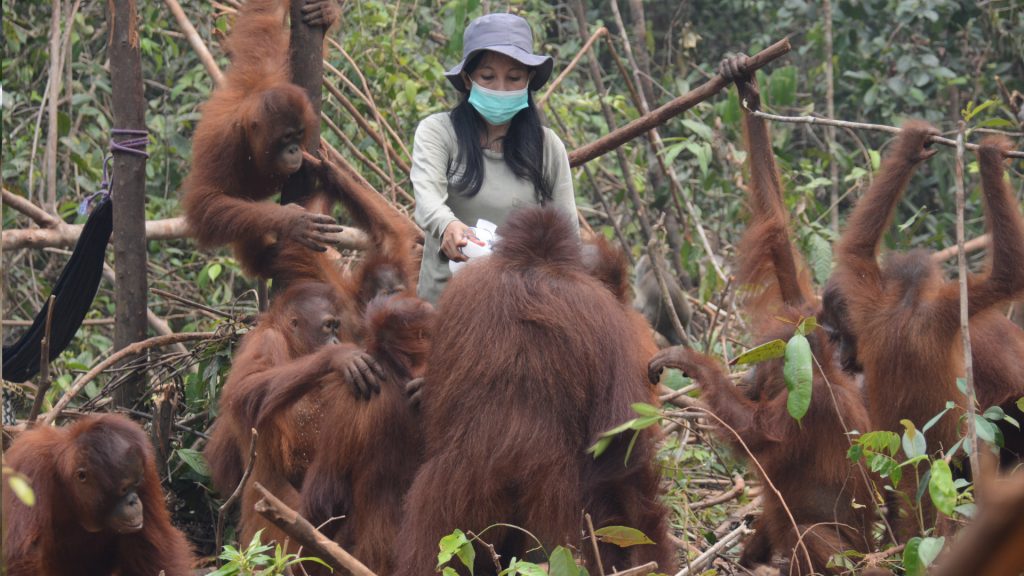 Babysitterin Eva inmitten einer Gruppe Orang-Utan-Waldschülern