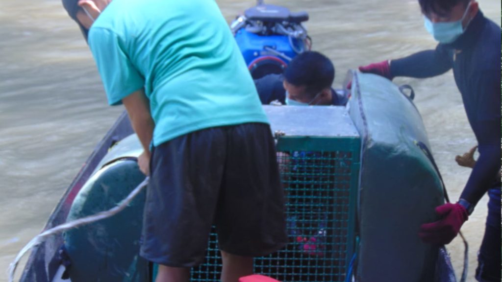 Orang-Utan-Transportbox wird auf Boot befestigt