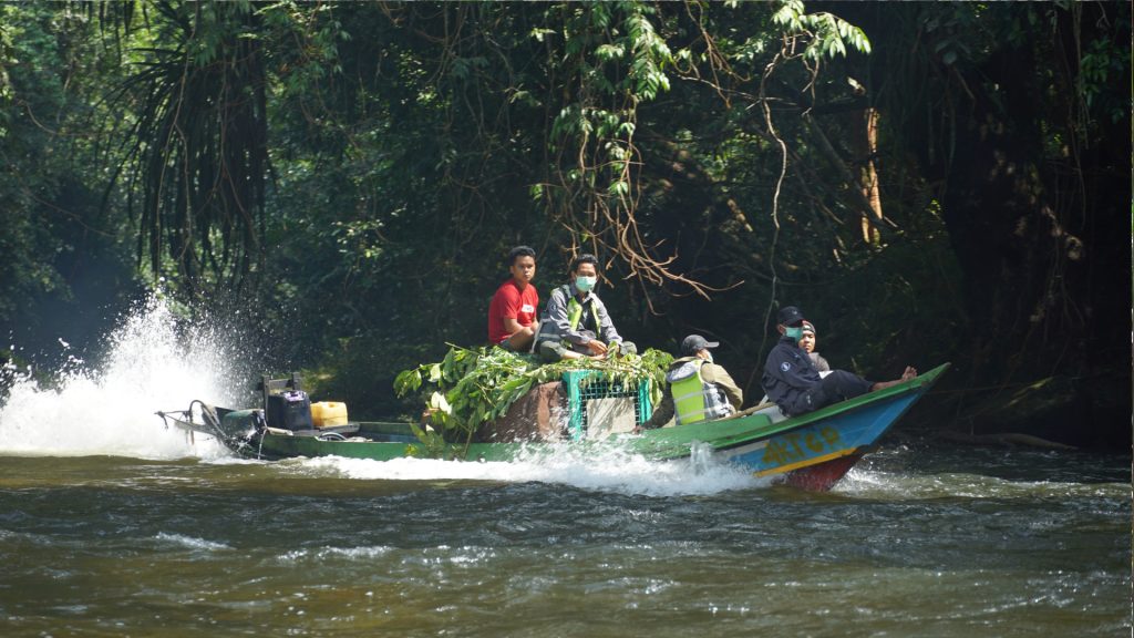 Boot auf Fluss im Regenwald mit Orang-Utan-Transportboxen