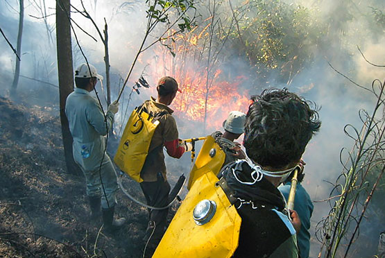 Feuerwehrmänner in Mawas